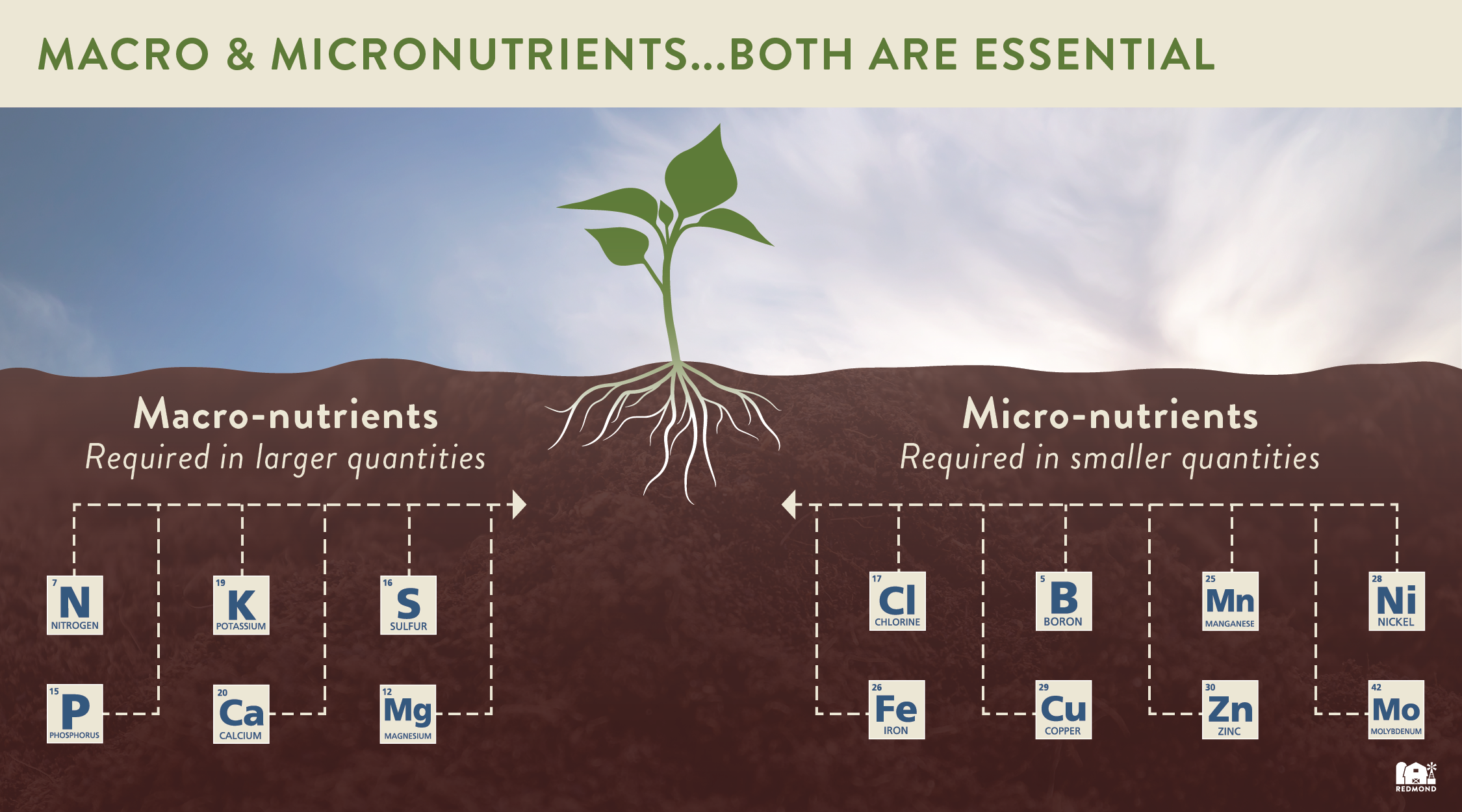 what-nutrients-do-plants-need